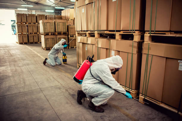 Best Exterminator Services  in Ridge Wood Heights, FL