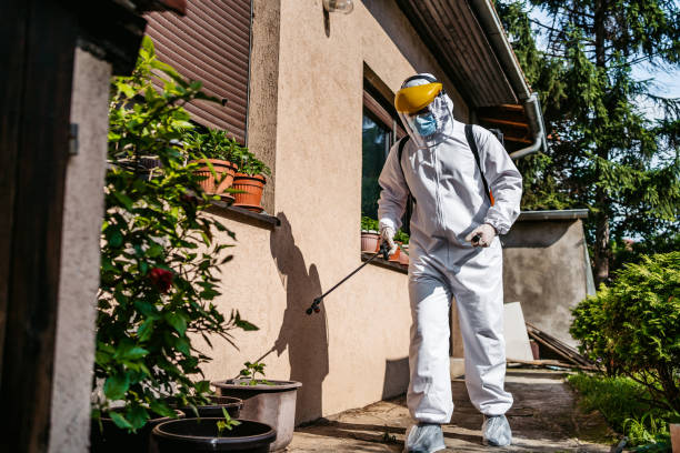 Best Cockroach Control Services  in Ridge Wood Heights, FL