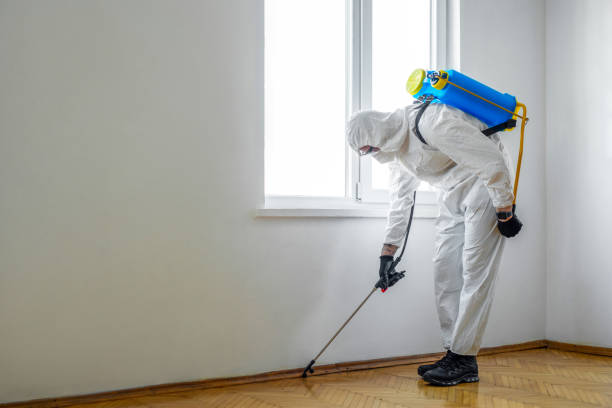 Best Rat Extermination Near Me  in Ridge Wood Heights, FL