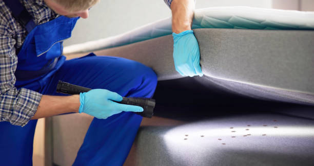 Best Pest Removal Services  in Ridge Wood Heights, FL