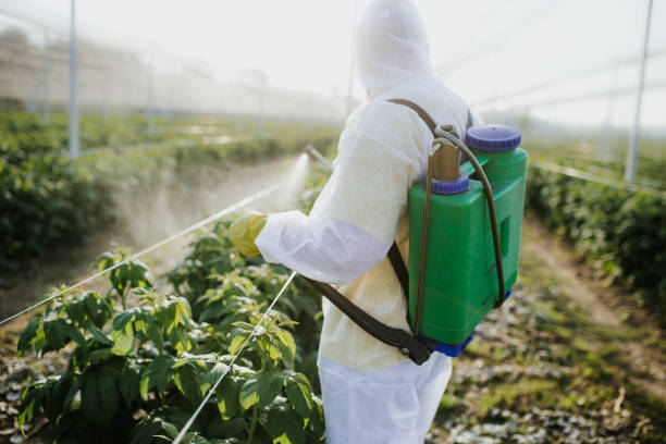 Ridge Wood Heights, FL Pest Control Company
